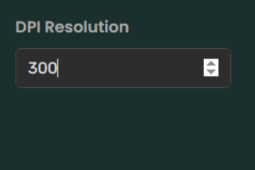 dpi resolution adjustment